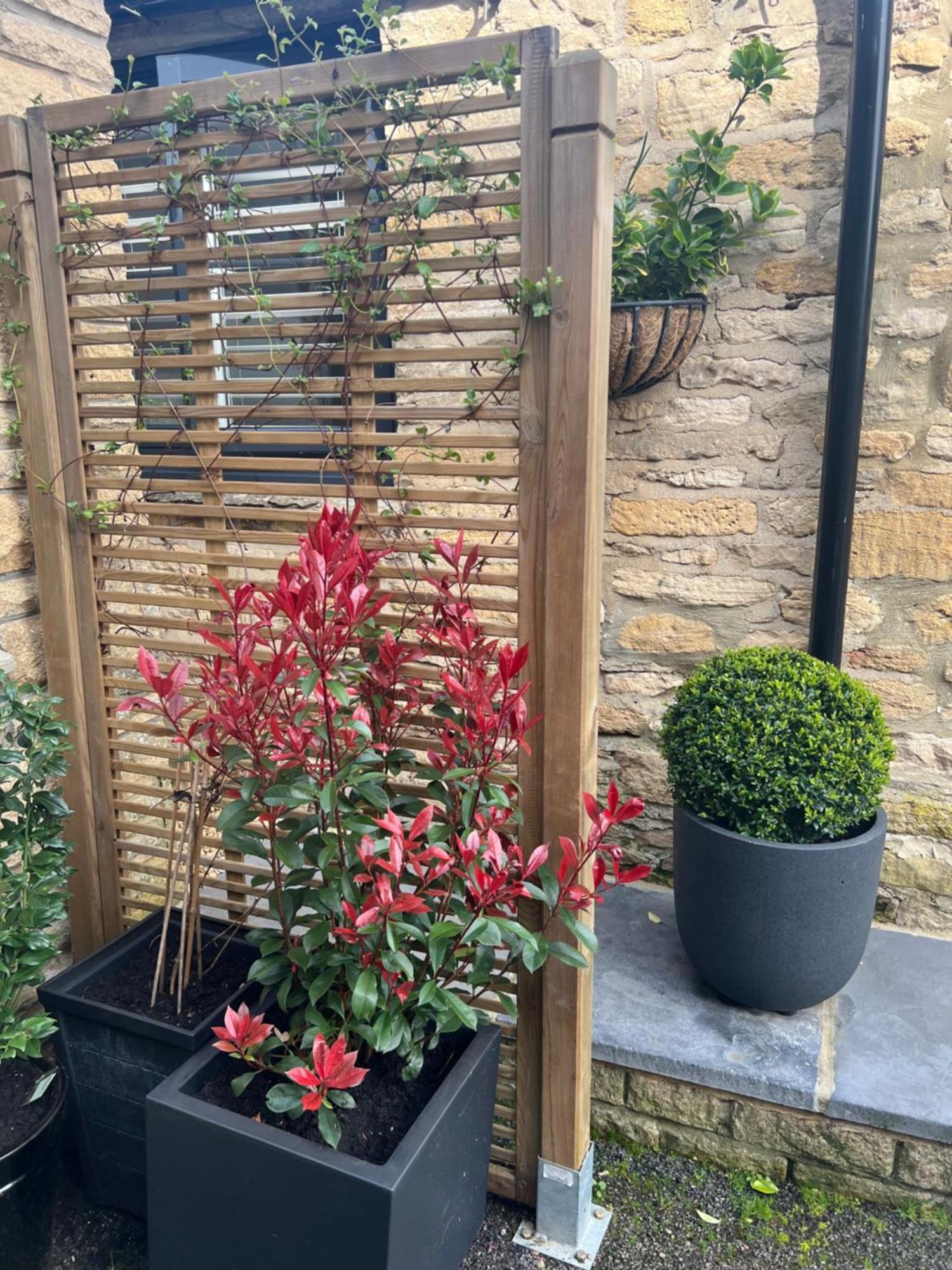 Priory Tearooms Burford With Rooms Екстериор снимка